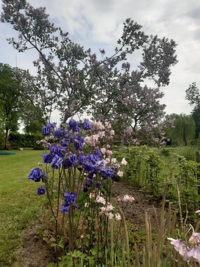 B&B Het Klontje Vriescheloo Bagian luar foto