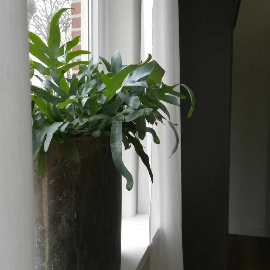 B&B Het Klontje Vriescheloo Bagian luar foto