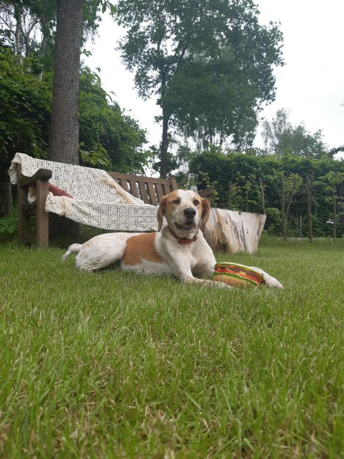 B&B Het Klontje Vriescheloo Bagian luar foto